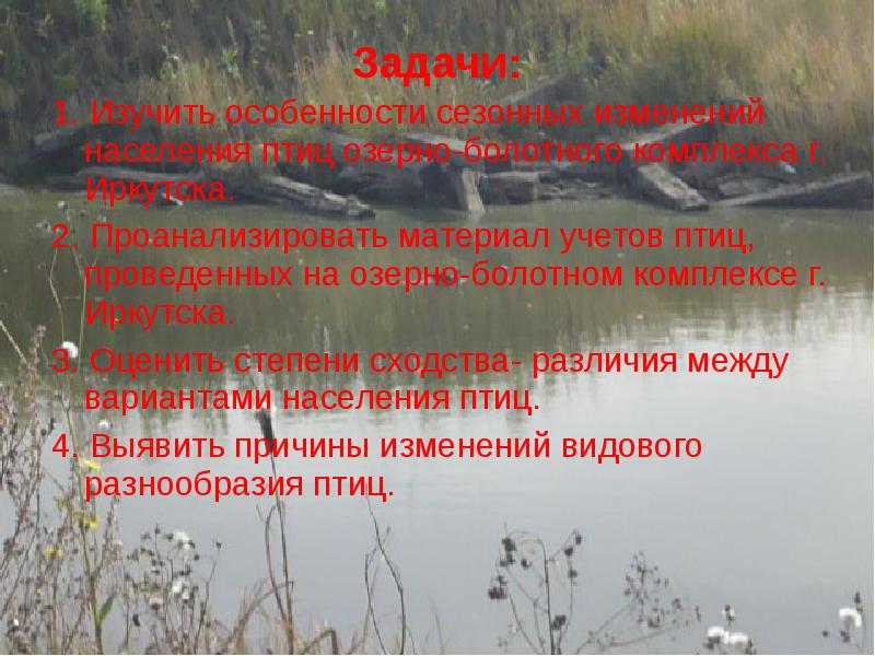 Озерный период. Озёрно-болотный комплекс «Ишимбай». Таловский Озерно-болотный комплекс.