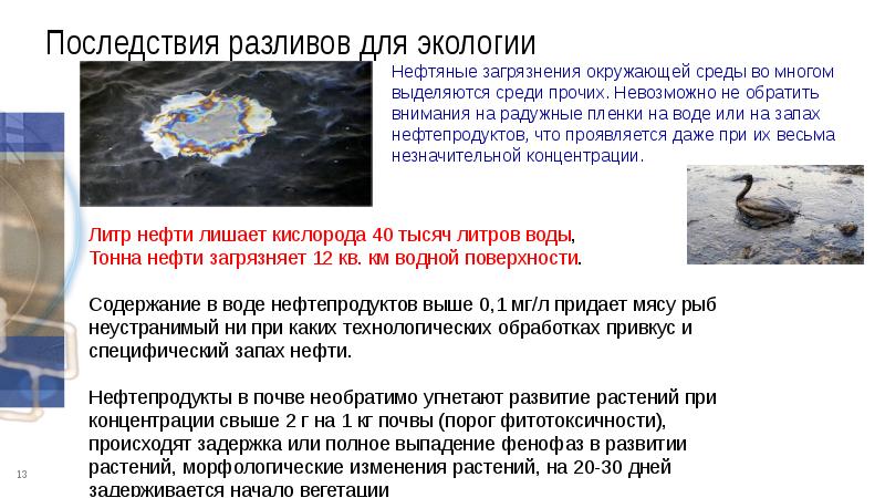 воздействие нефти на организмы. загрязнение окружающей среды нефтью. опасность нефти для окружающей среды. влияние нефти на экологию. загрязнение окружающей среды нефтью.