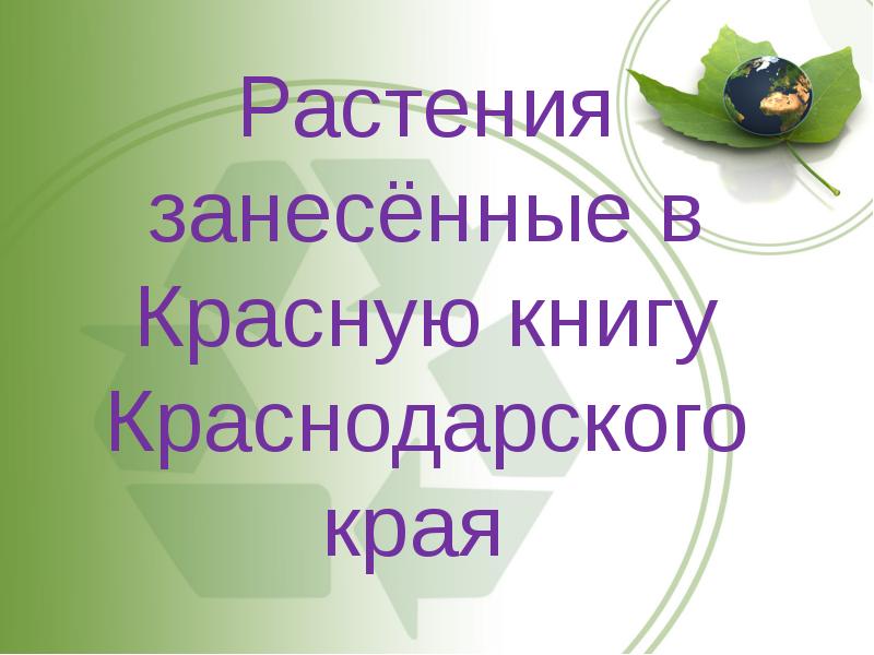 Растения красной книги краснодарского края. Охраняемые растения и животные Краснодарского края. Презентация красная книга Краснодарского края. Деревья красной книги Краснодарского края.