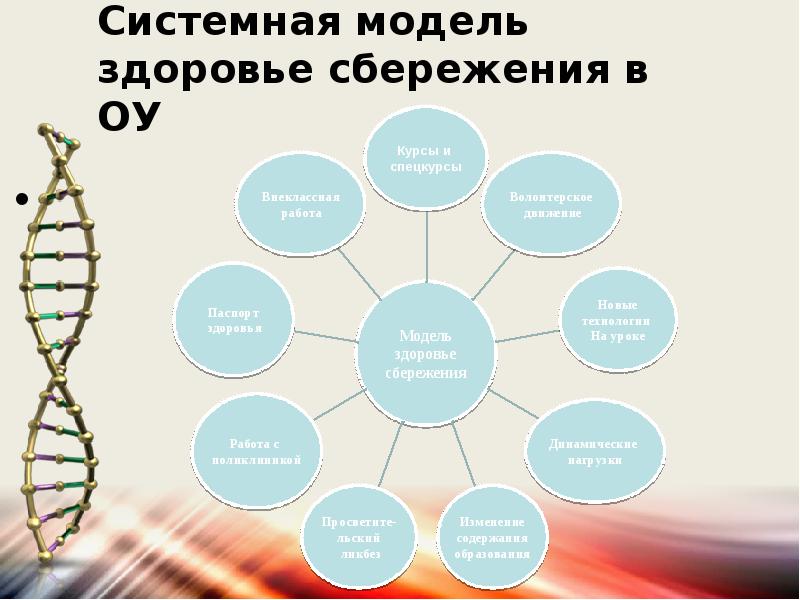 Модель здоровья. Индивидуальная модель здоровья. Модель моего здоровья. Технология здоровья сбережения. Здоровье в ОУ.