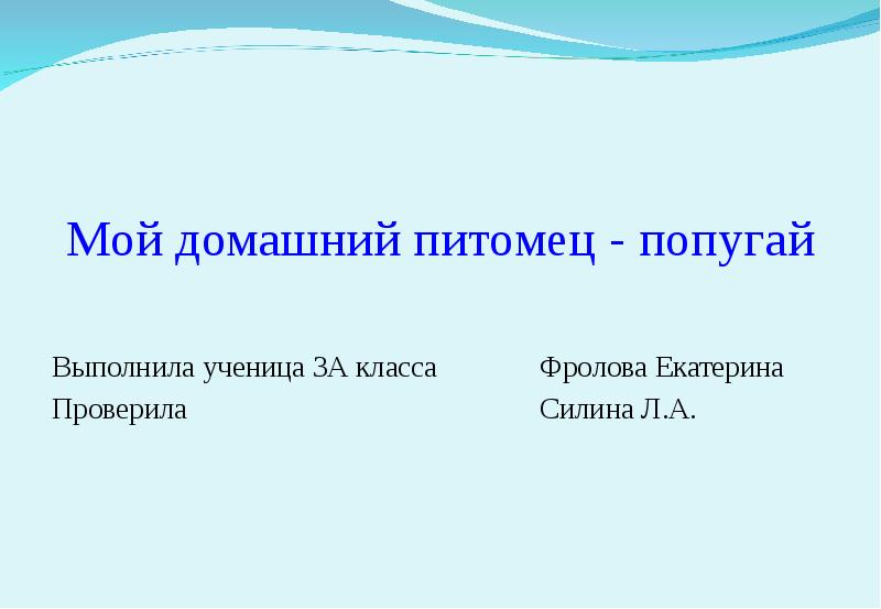 Презентация мой домашний питомец 1 класс. Проект мой домашний питомец попугай. Презентация мой домашний адрес. Мой питомец попугай.