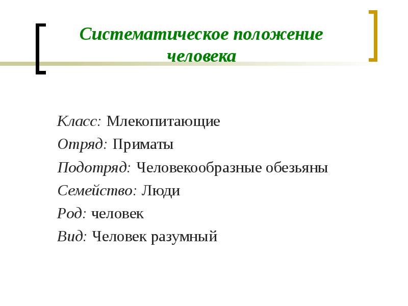 Систематическое положение класса млекопитающие. Систематическое положение человека в отряде приматов. систематическое положение человека 8 класс презентация. вич систематическое положение.