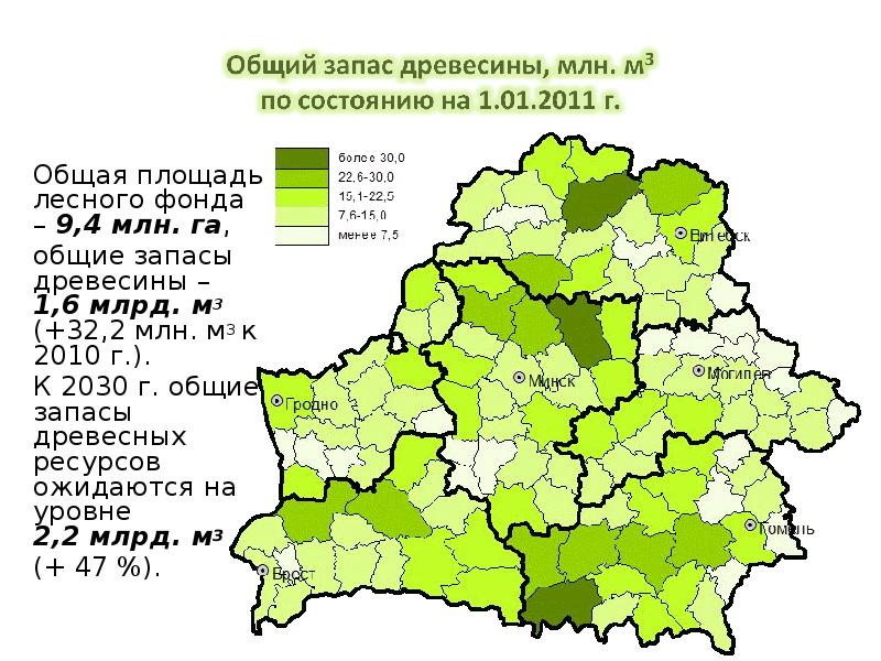 Карта лесов беларуси