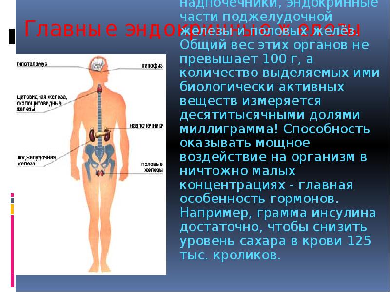 Надпочечник гипофиз селезенка подмышечный