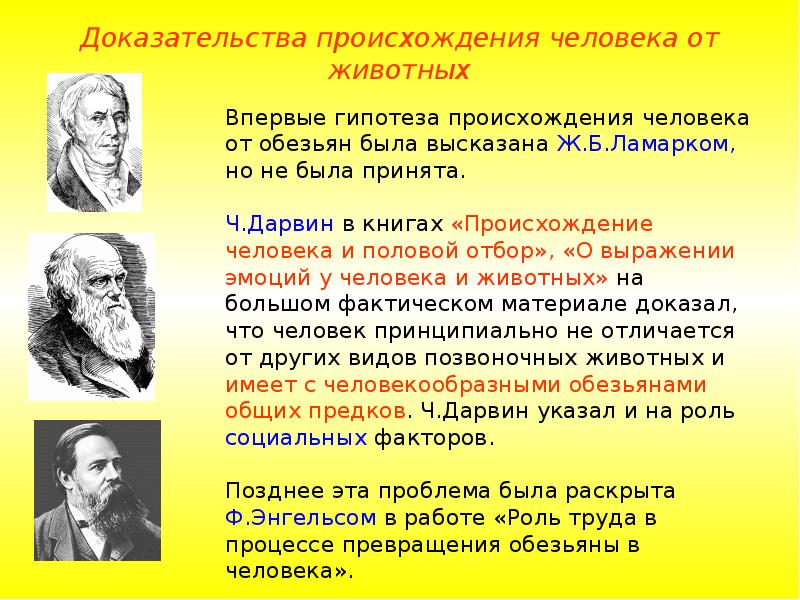 Презентация доказательство происхождения человека от животных