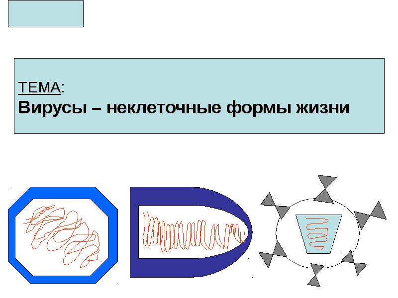 Форма жизни человека. Вирусы неклеточные формы жизни 6 класс. Тема вирусы 6 класс. Актуальность темы вирусы в биологии. Неклеточные формы жизни изучает наука.