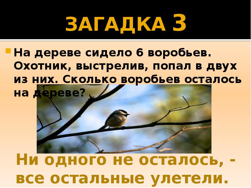 Когда человек бывает деревом ответ на загадку. Когда человек бывает деревом загадка. Бассейн рядом с деревом загадка. Стихи про родословное дерево для детей. Когда человек бывает деревом загадка.