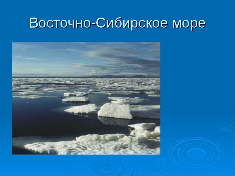 Проект сибирского моря