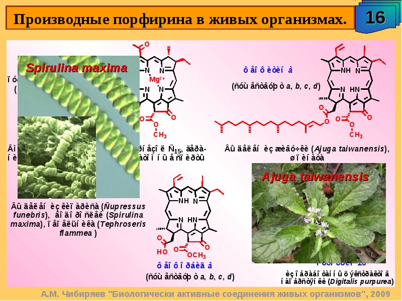 Витамины и витаминоподобные вещества презентация