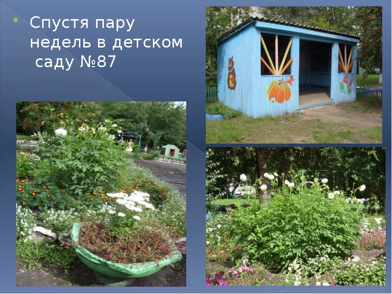 2 часа спустя. спустя пару лет. спустя пару. спустя пару. пару минут спустя.