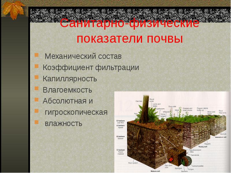 Механические воздействия на почву. Показатели почвы. Влагоемкость и водопроницаемость почвы. Физические показатели грунта. Влагоемкость почвы.