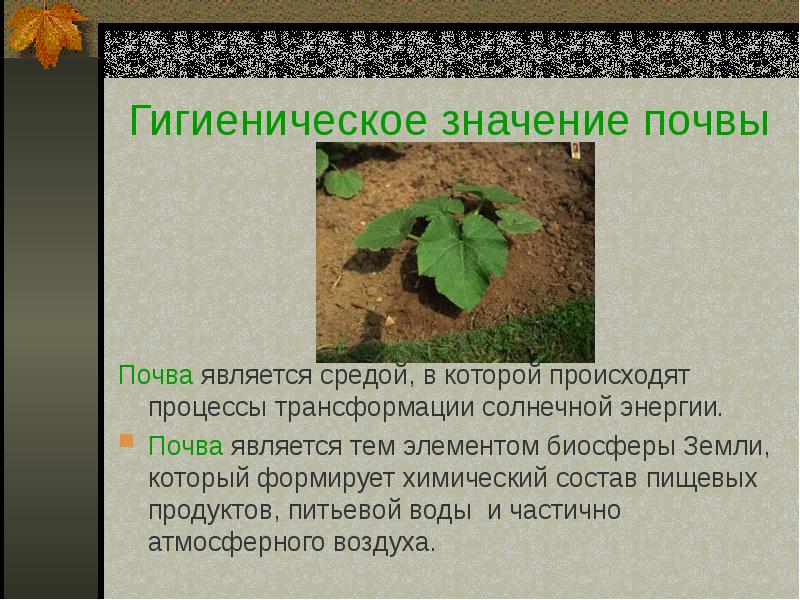 Экологическая роль почвы. Гигиеническое значение почвы. Гигиеническое значение свойств почвы. Роль почвы в природе. Почва презентация.