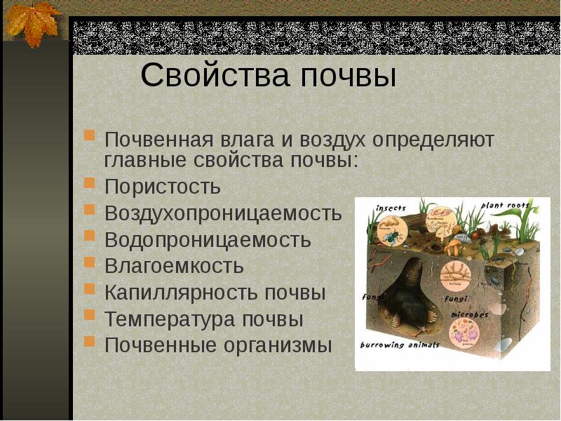 Свойства почвы. Основное свойство почвы. Главное свойство почвы 3 класс окружающий мир. Свойства почвы 3 класс. Свойства почвы слайд.