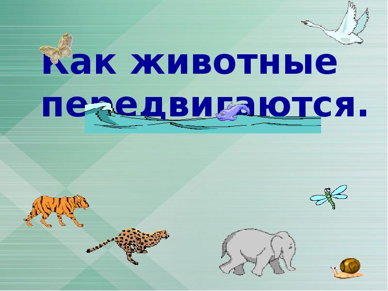 Двигаясь животные