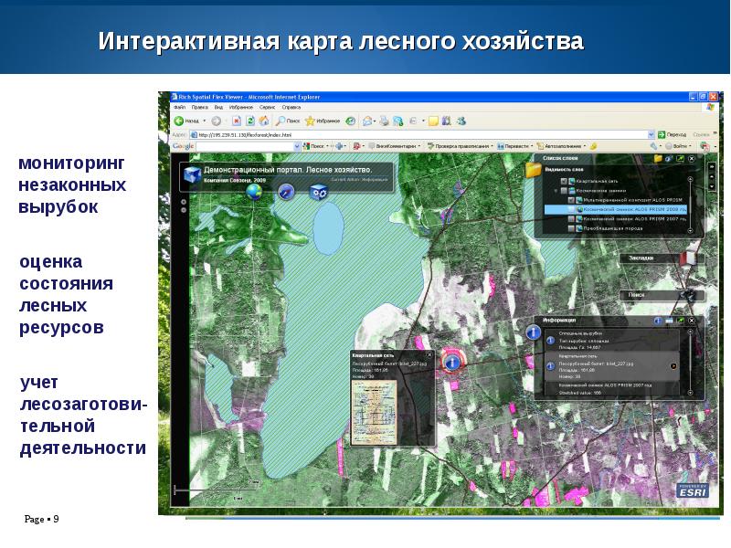 Министерство лесного хозяйства интерактивная карта