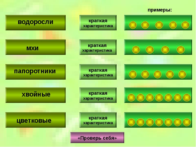 К какой группе относится клен. К какому виду растений относится клен. Водоросли мхи папоротники таблица. К каким растениям относится клен. Сравнительная характеристика водорослей и мхов.