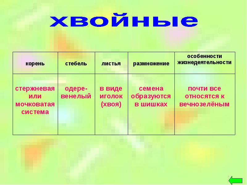 Водоросли корень. Особенности жизнедеятельности. Особенности жизнедеятельности цветковых. Особенности жизнедеятельности хвои. Таблица корень, стебель листья.