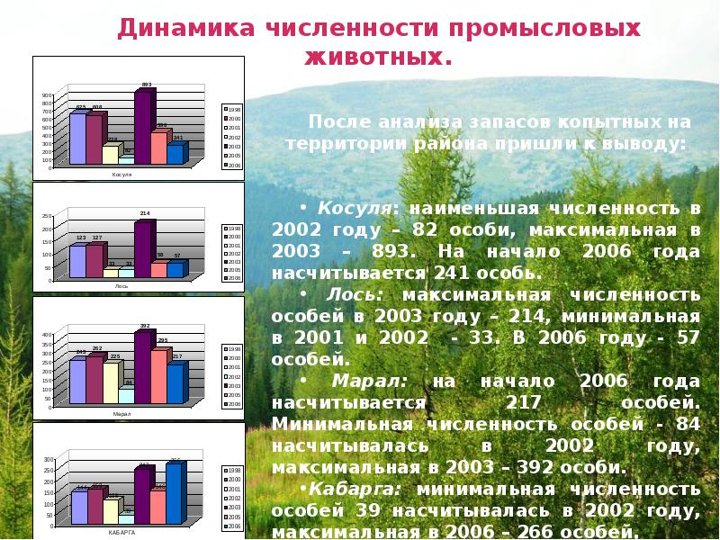 Минимальное количество видов