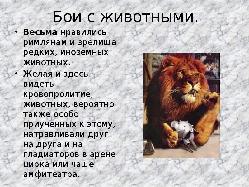 Бои с животными.
Весьма нравились римлянам и зрелища редких, иноземных животных.
Бои с животными.
Весьма нравились римлянам и зрелища редких, иноземных животных.