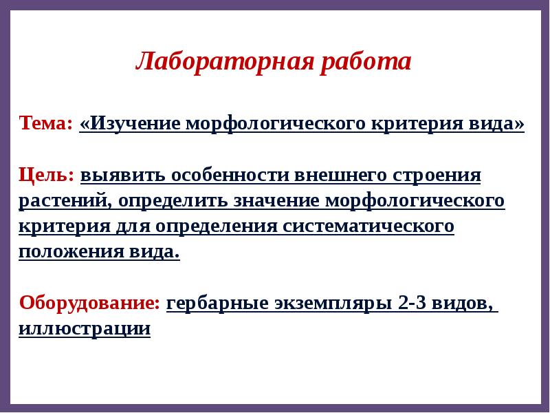 Практическая работа в презентации