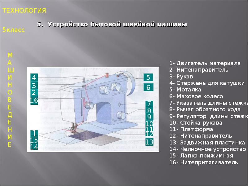 Животные и технологии 21 века технология 5 класс презентация