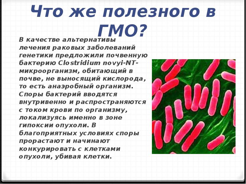 Презентация о вреде гмо