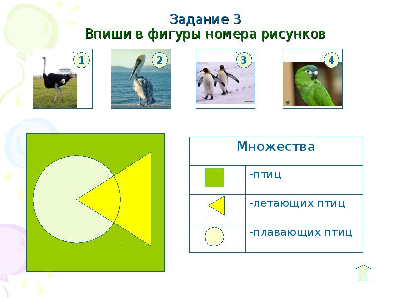 Фигура номер 3. Информатика впиши в фигуры номера рисунков. 20 Впиши в фигуры номера рисунков. Впиши в фигуры номера рисунков множества птиц. В фигуры номера рисунков множества птиц летающих птиц.