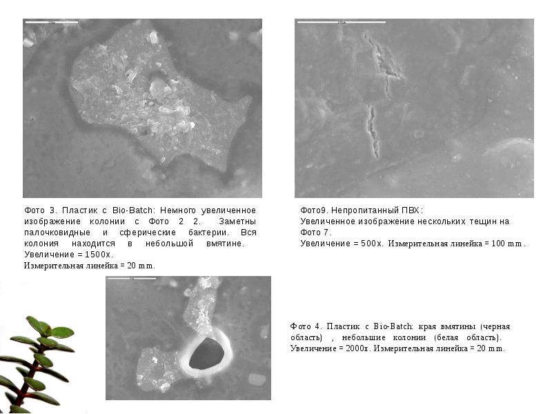 BioTec Environmental презентация, доклад, проект