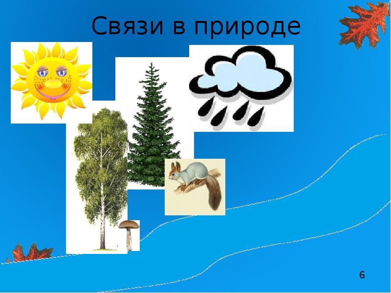 Знакомство С Неживой Природой В Старшей Группе