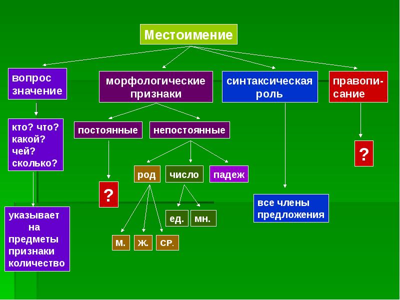 Опорная схема местоимений