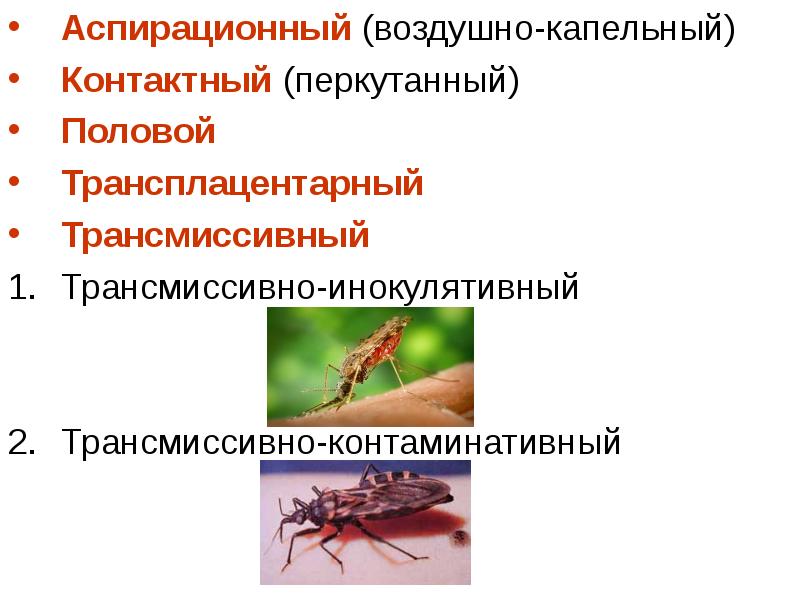 Комары презентация паразитология