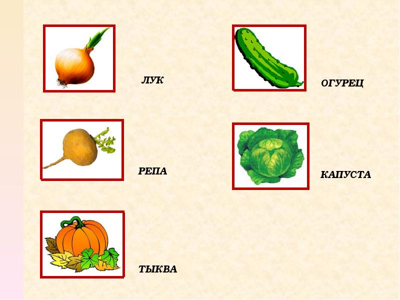 Звуковая схема слова огурец