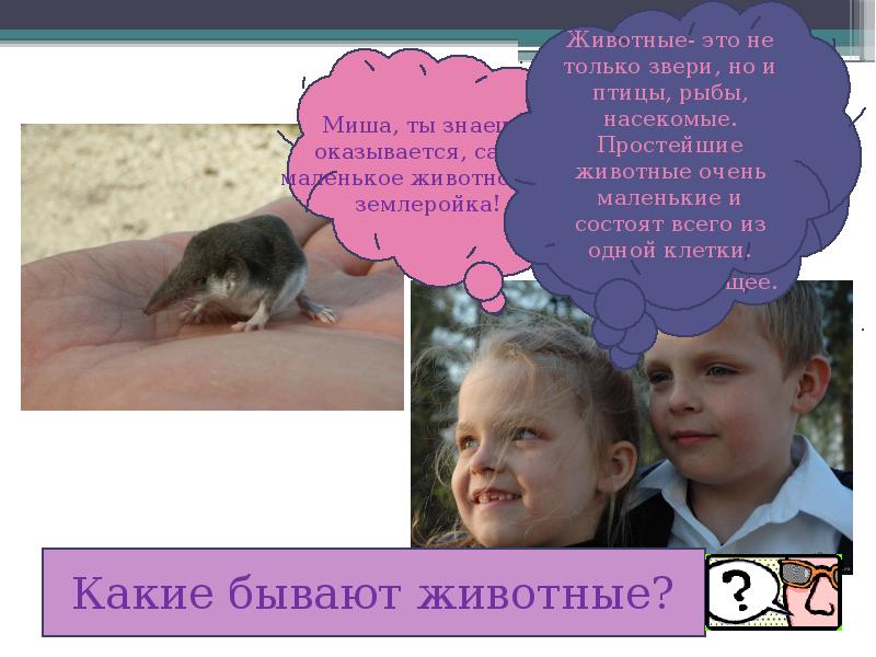 Почему мало животных