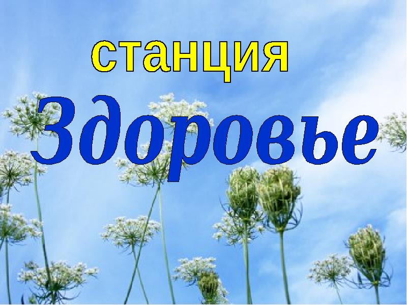 Слово здоровье. Станция здоровья. Станции здоровья картинки. Надпись станция здоровье. Картинка где 4 станции здоровья.