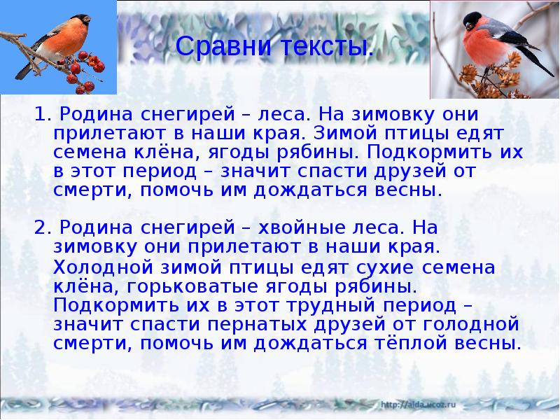 Тексты По Стилям Про Снегиря