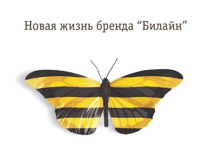 пирамида бренда. Brooke bond логотип. жизнь бренда. стадия жизненного цикла марки. модель жизненного цикла бренда.