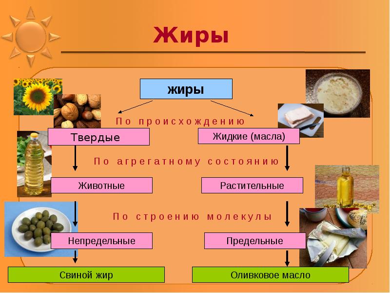 Жиры как продукт питания и химическое сырье презентация