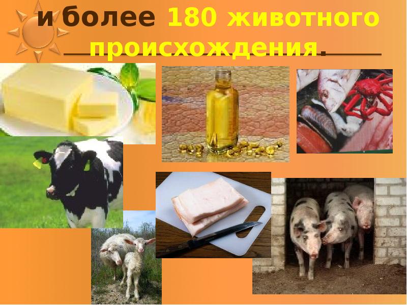 Более 180. Сырьё животного происхождения. Техническое сырье животного происхождения. Животное сырье. Сырье из животных.