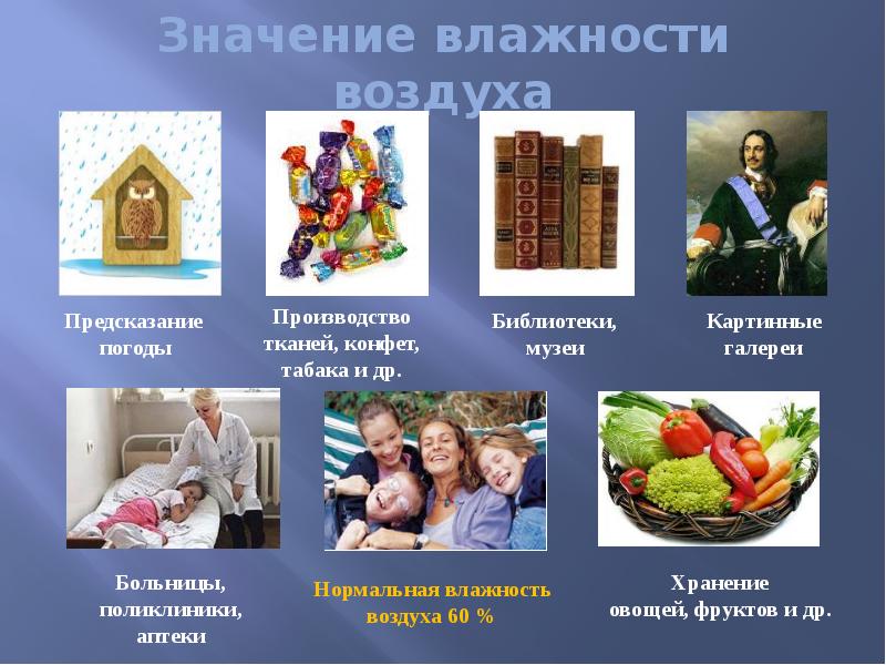 Значение влажности воздуха физика. Значение влажности в природе. Значение влажности воздуха в библиотеке. Значение влажности воздуха в науке. Значение влажности в медицине.