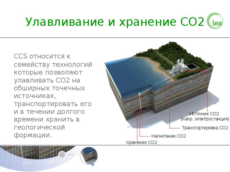 Какие приспособления к улавливанию световой энергии имеют