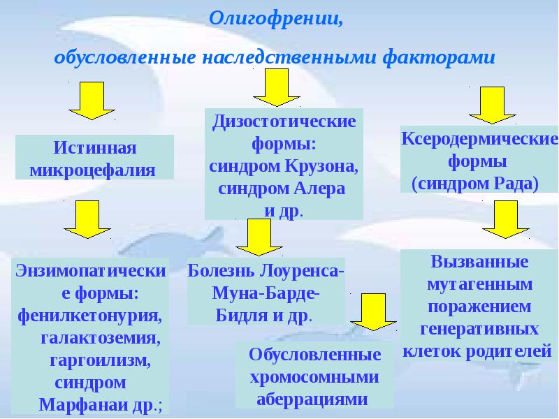 Презентация на тему классификация умственной отсталости