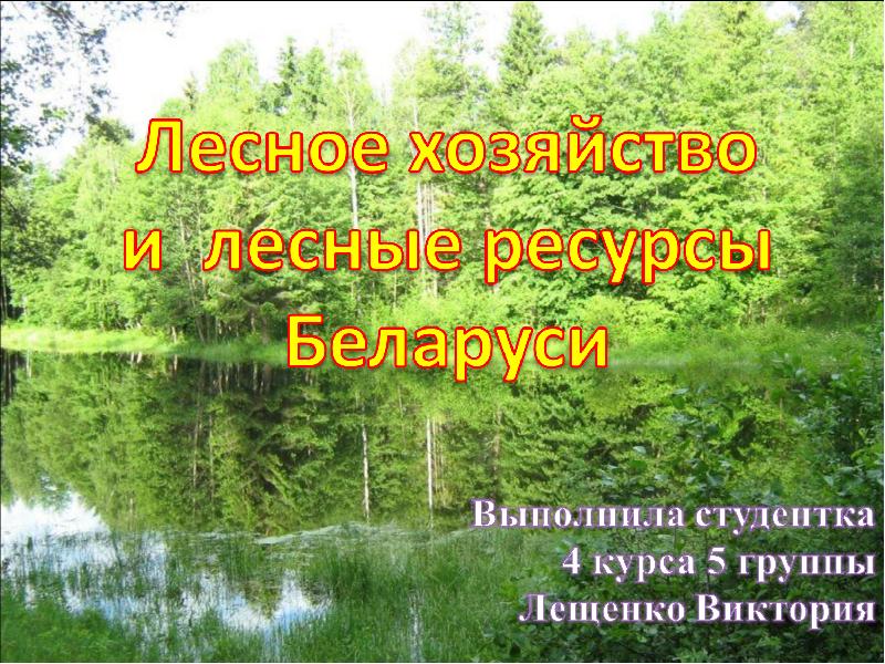 Лесные богатства беларуси. Лесные ресурсы Беларуси презентация. Включай Лесное.