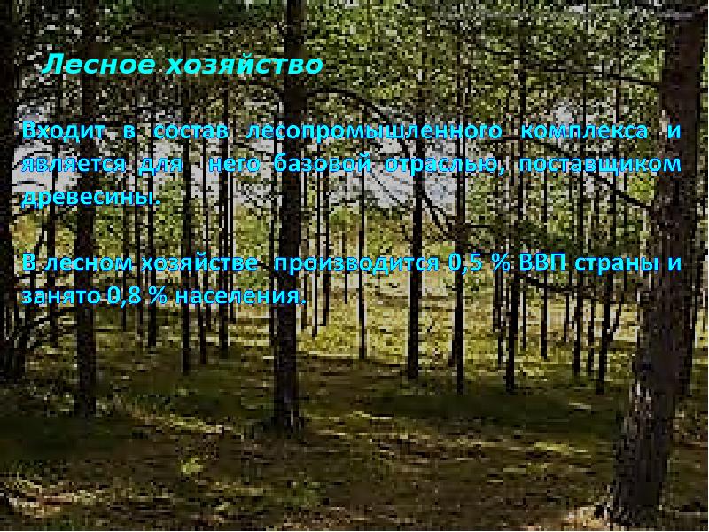 тест лесные богатства беларуси 3 класс