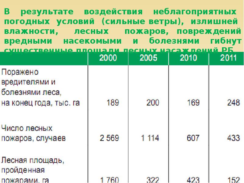 тест лесные богатства беларуси 3 класс