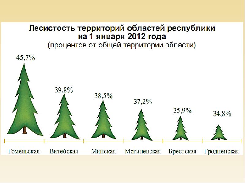 Карта лесов беларуси