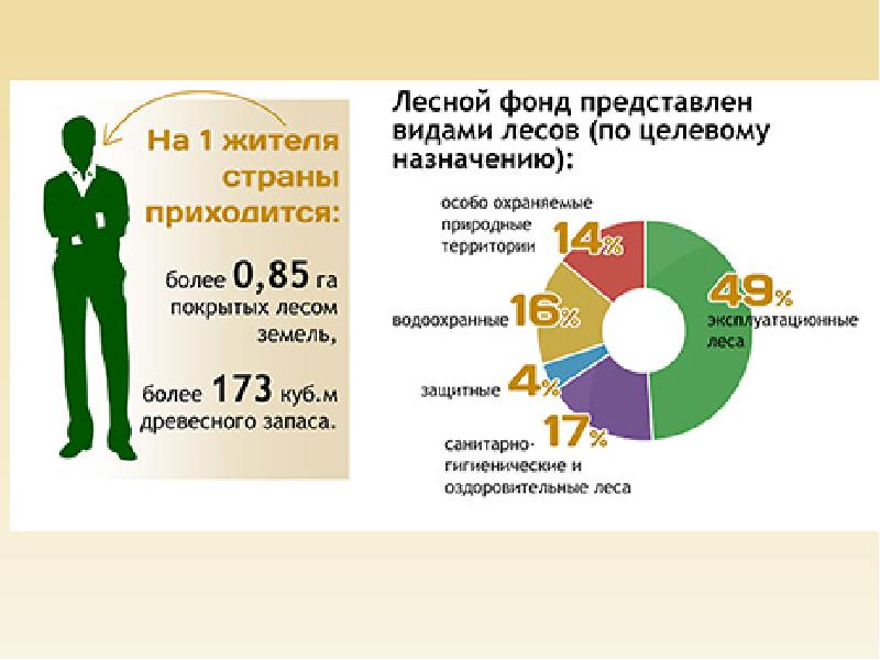 Сайт фонда рб. Лесной фонд Белоруссии. Земельные ресурсы Белоруссии. Целевое Назначение земель лесного фонда. Леса по целевому назначению.