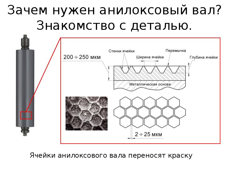 Флексографическая печать схема