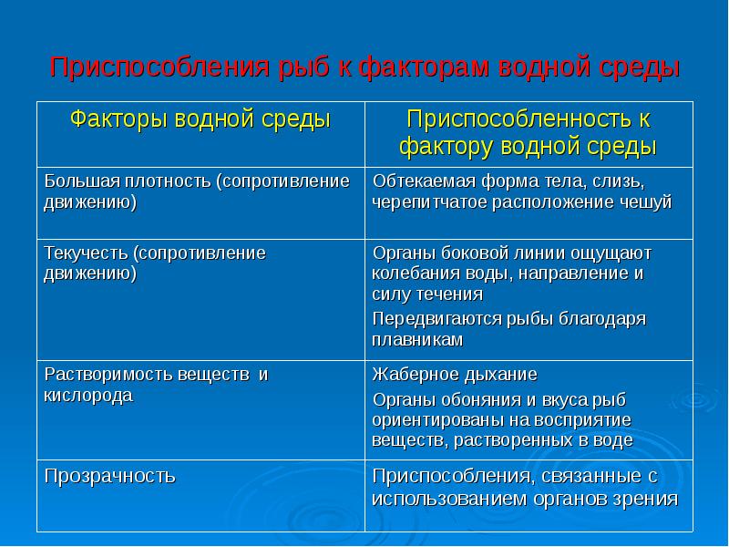 Приспособления рыб к условиям обитания значение рыб презентация