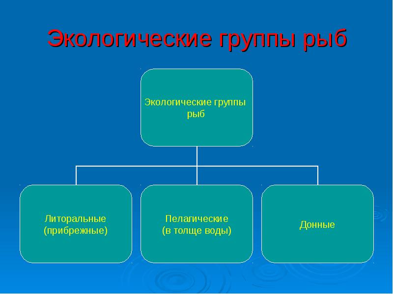 Группы рыб. Экологические группы рыб. Экологические группы рыб таблица. Экологические группы морских рыб. Экологические группы рыб по характеру питания.