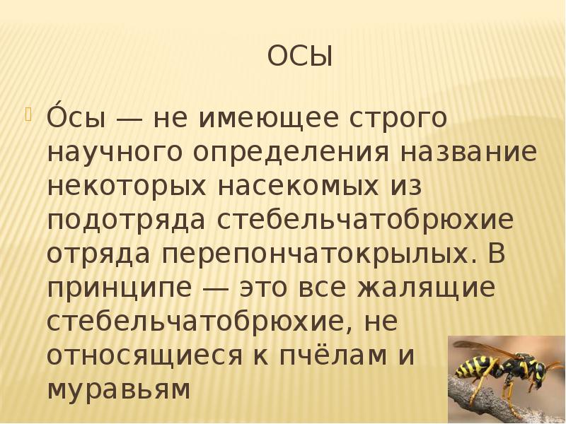 Слово имеющее точное научное определение называется. Слово имеющее точное научное определение называется